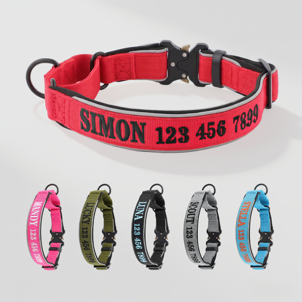 Personalized Dog Collar